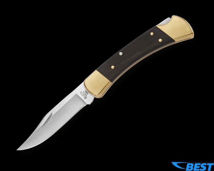 BUCK 110 Folding Knife + Kwik Thumb Stud фото